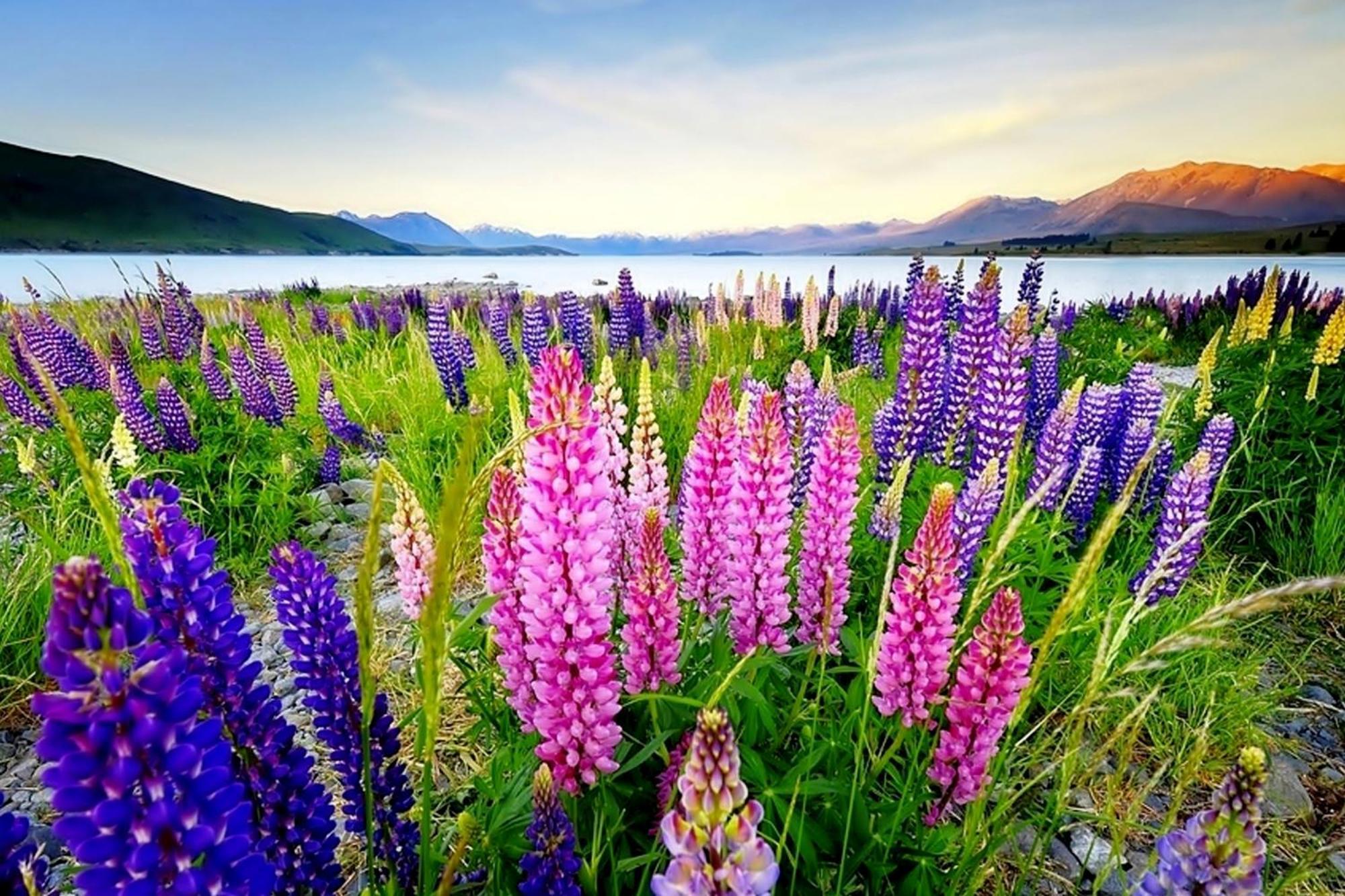 Tekapo1929 Lakefront Villa Lake Tekapo Luaran gambar