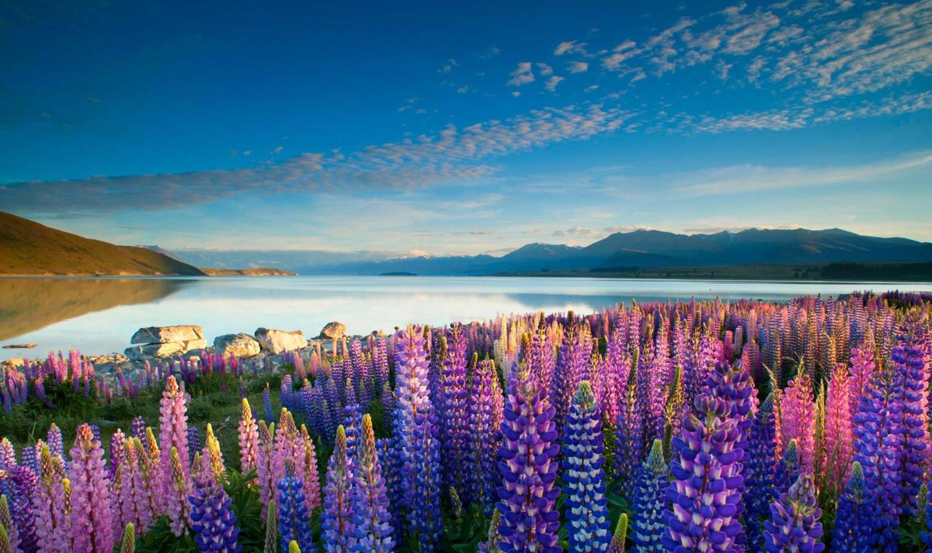 Tekapo1929 Lakefront Villa Lake Tekapo Luaran gambar