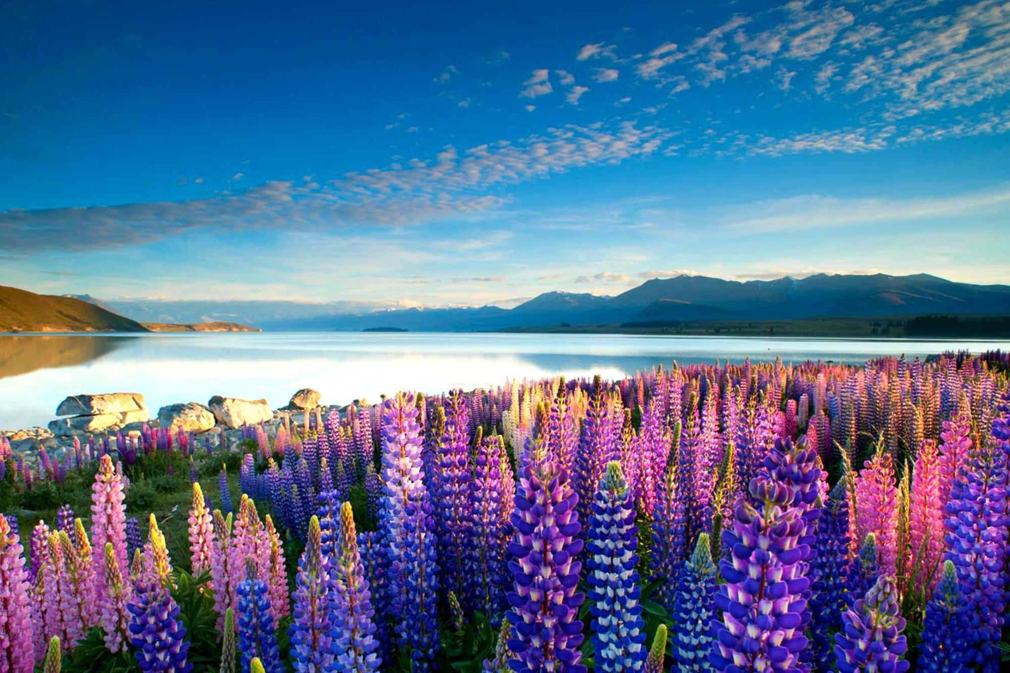 Tekapo1929 Lakefront Villa Lake Tekapo Luaran gambar